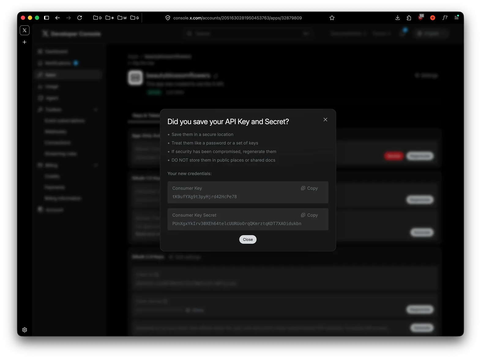Consumer key and secret popup